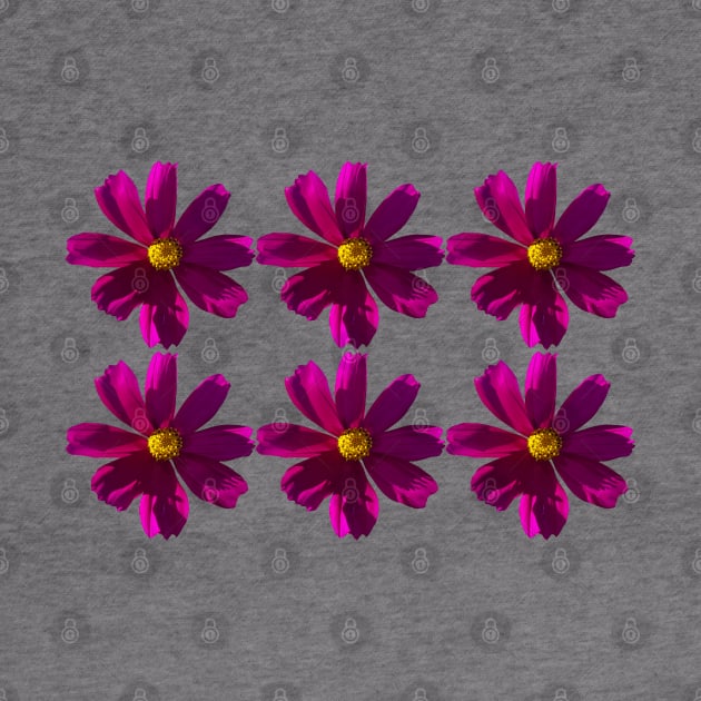 Dark Pink Cosmos Flowers in Six Pattern by ellenhenryart